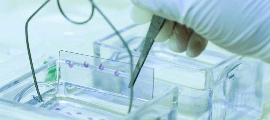 Western Diagnostics and the Role of Lab Supplies in Accurate Testing