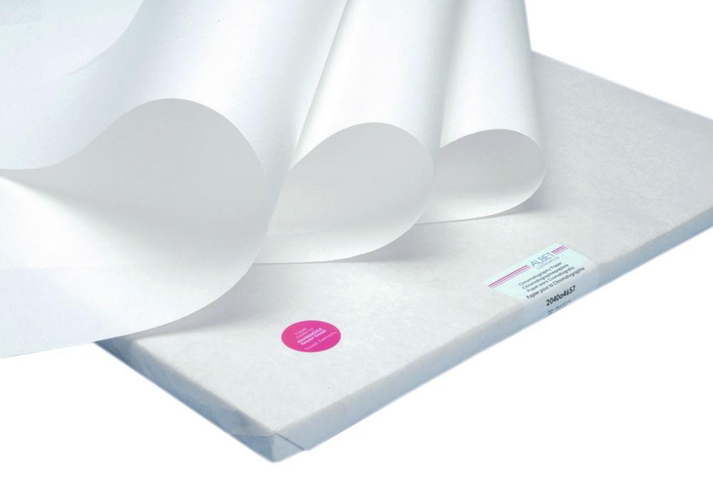 Hahnemühle Chromatography Paper 2668, 580x600 mm Preparative, Fast, 320 g/sqm, Sheets, Pack of 50