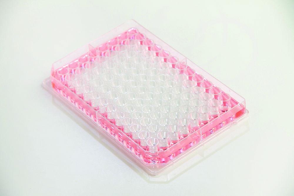 Thermo Nunc Microplates Nunc Edge 2.0 96-Well, Flat Bottom, Clear, Non-Sterile, without Lid, Non-Treated, Bulk Pack of 10x16
