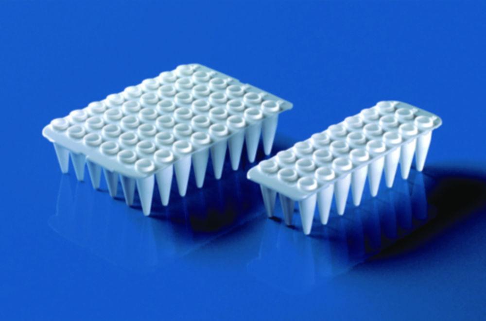 BRAND 24-Well PCR Plates 0.2 ml, PP, White, qPCR, Non-Skirted, Pack of 40