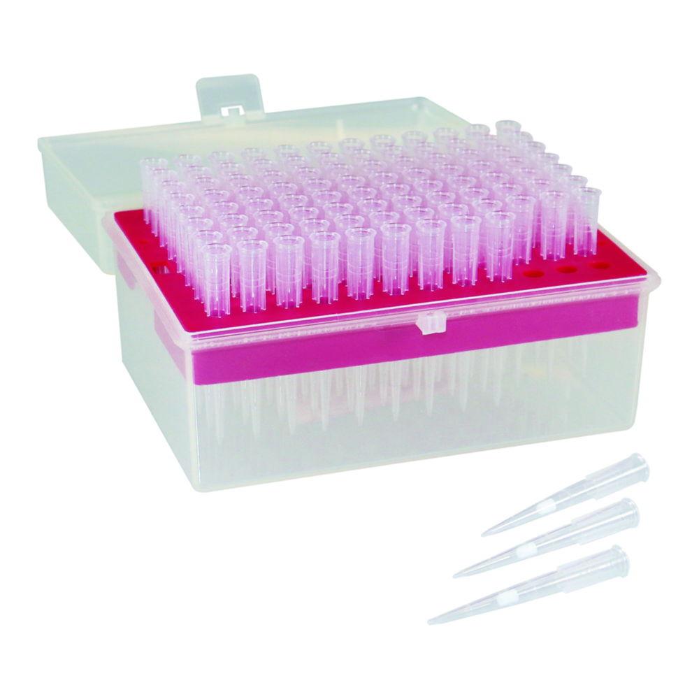 Citotest Scientific Filter Tips 10-20 µL, Sterile, PP, 10 Racks of 96