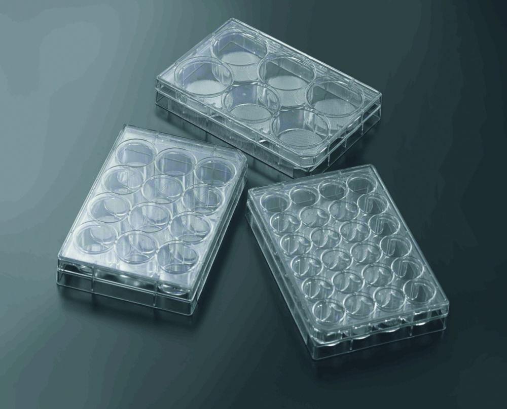 3D Cell Culture Plate CellSCAFLD® 21,0x1,6mm pack of 8