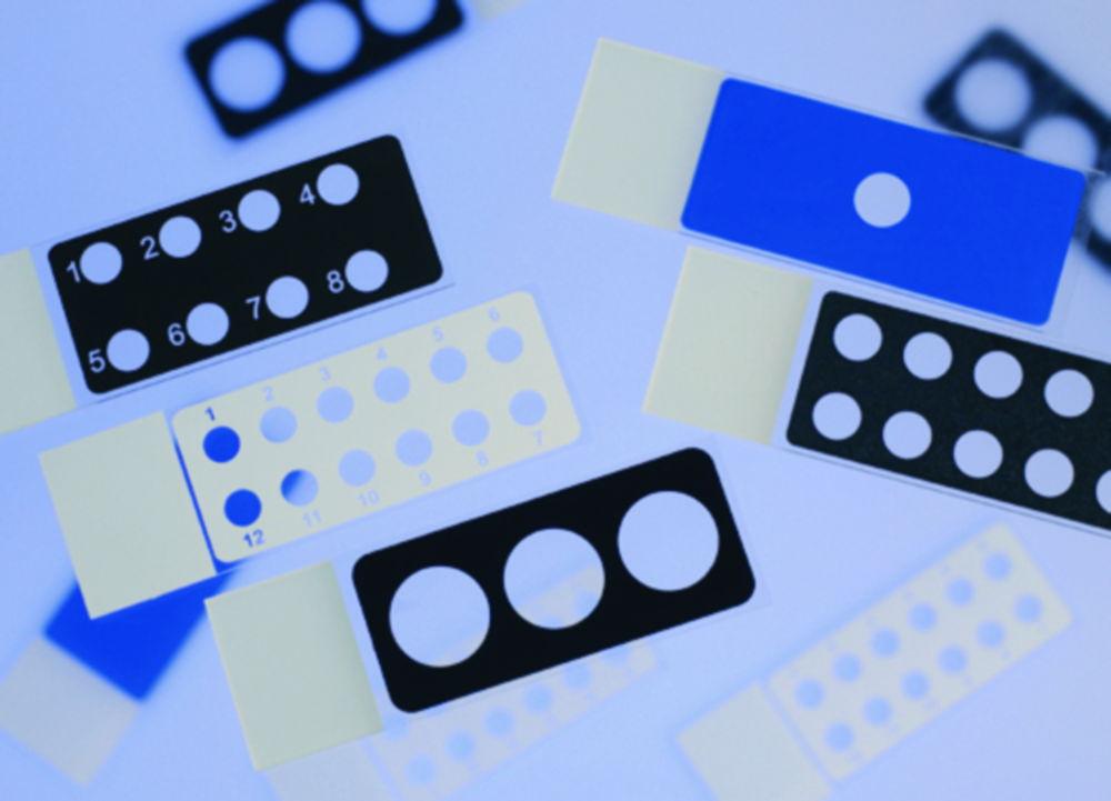 Epredia Netherlands Diagnostic Slides, 25 x 75 x 1 mm, Black Epoxy Coated, 10 Cavities (6 mm), Pack of 100