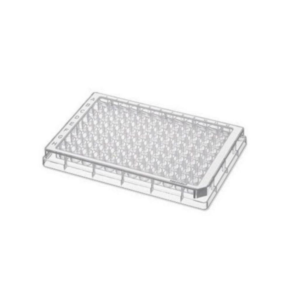 Eppendorf Microplate 96/U-PP, Clear Wells, Border Color White, Sterile, Pack of 80 Plates (5 x 16 pcs.)

