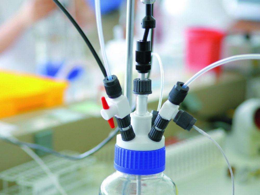 Bohlender Distributor R GLS 80, 4 x GL(R), 1 x GL 25, PTFE, PP, for Reaction Vessel 8 mm Dia.