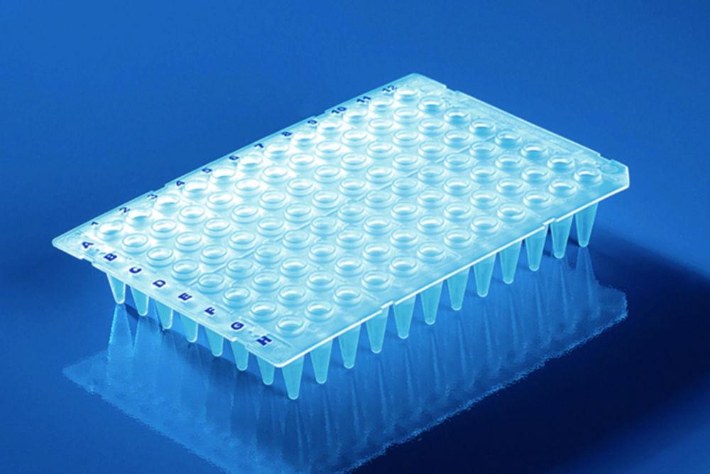BRAND PCR Plates 96-Well, 0.2 ml PP, Thin Walled, Flexible, High Wells Without Frameworks, Pack of 50