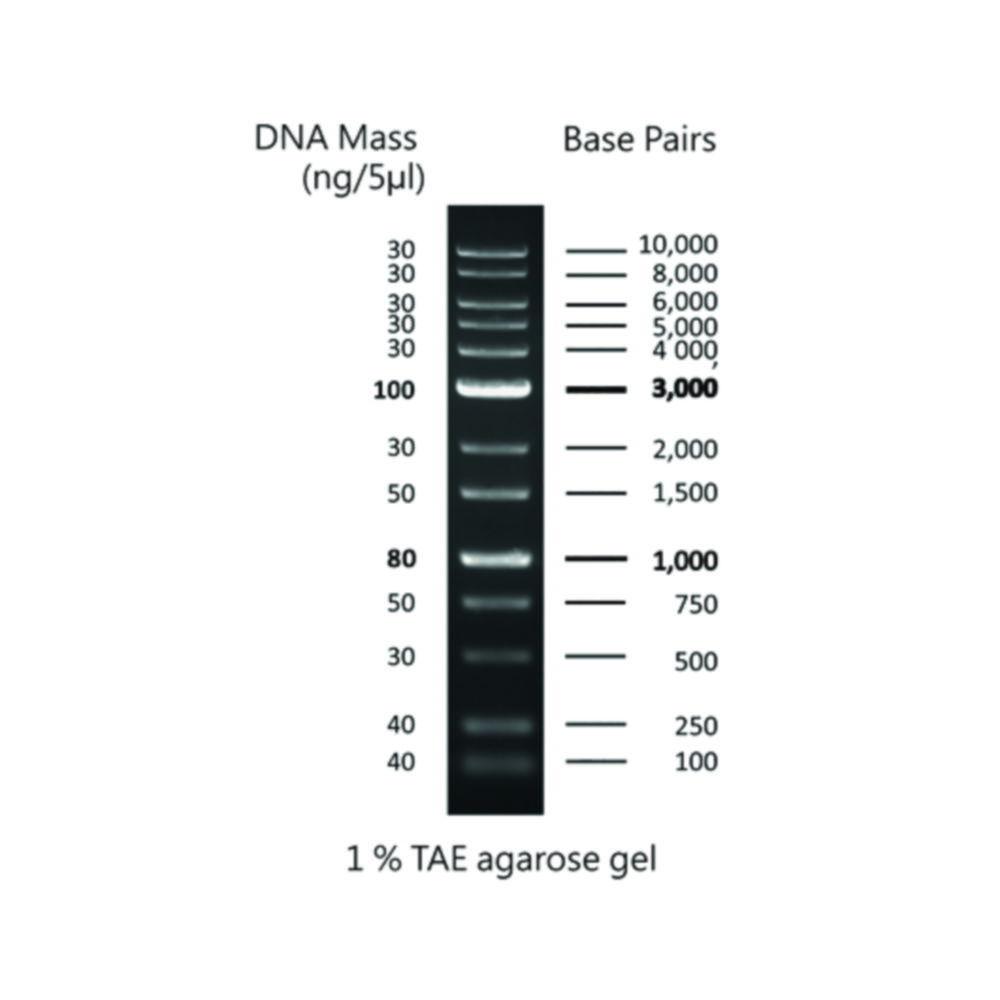 Thistle Scientific DNA Ladder 1kb-250bp-10kb 1x500µL Vial