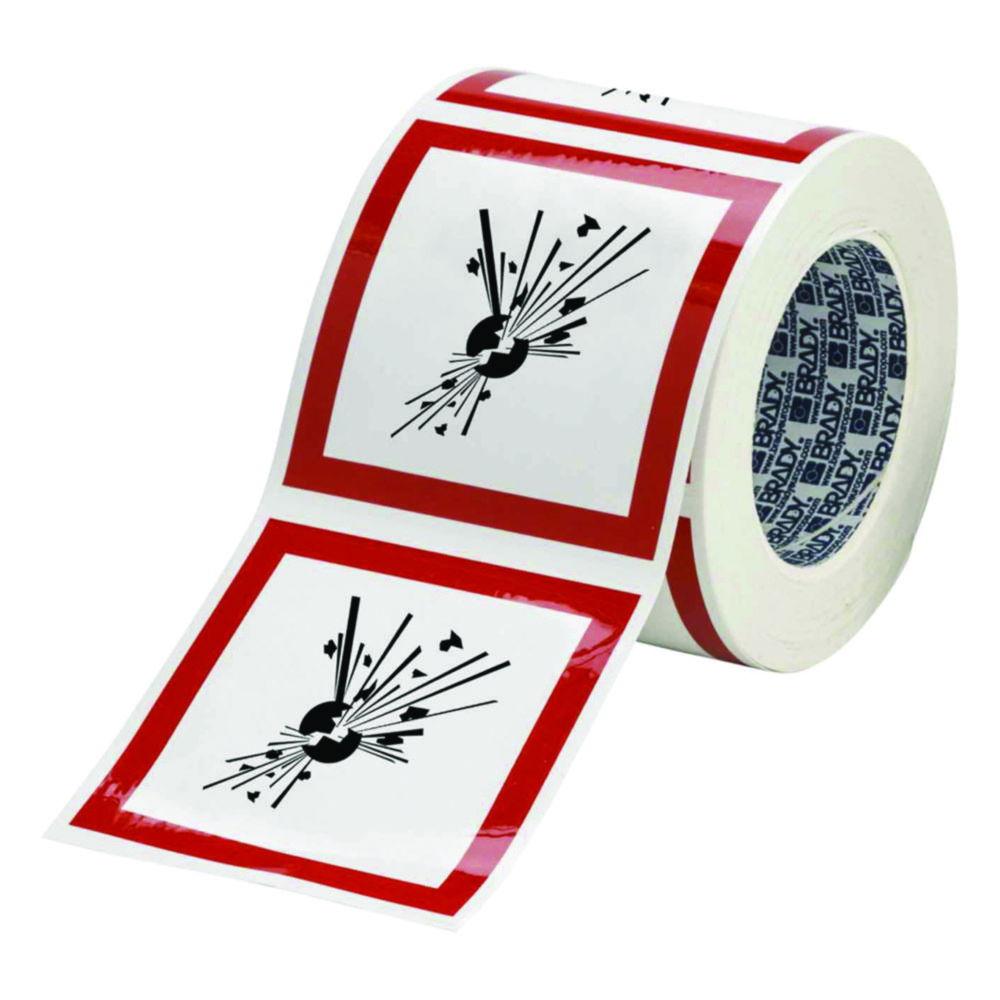 Brady GHS Symbol "Longterm Hazardousness to Health" PIC 1807-50*50-B7541-RLL, 50x50 mm, Roll, Pack of 250