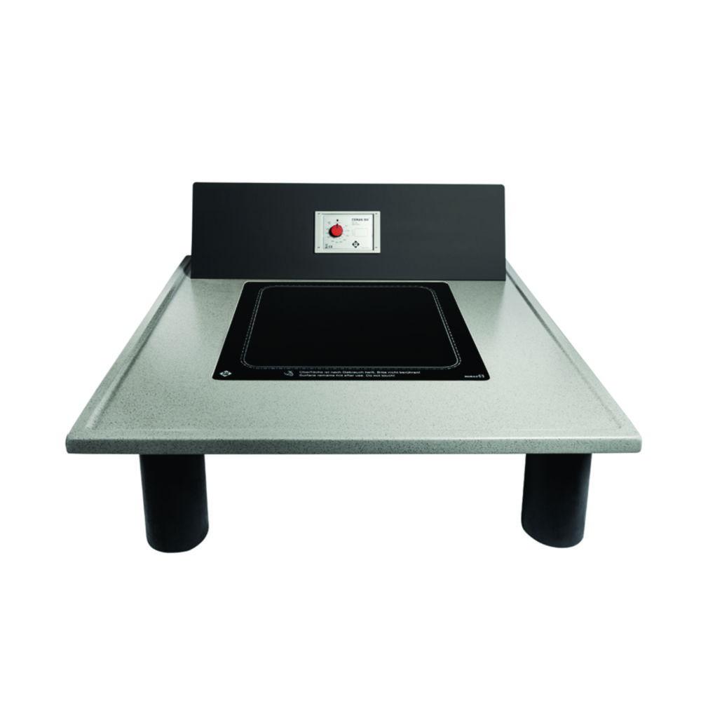 Harry Gestigkeit CERAN Hotplates 280 x 430mm, Installation Device, BxHxT(mm) 350x100x500

