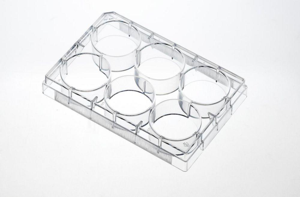Jet Bio Tissue Culture Plates, 6-Well, PS, 10.0 cm Treated, Sterile, Pack of 100