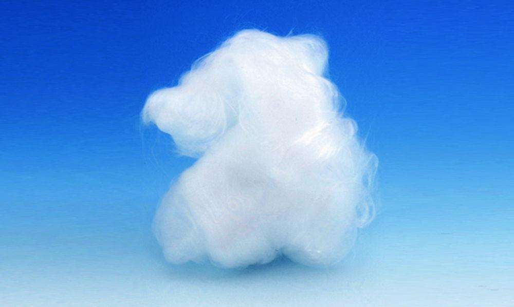 Glaswarenfabrik Karl Hecht Extra Fine Glass Wool (1000 g)