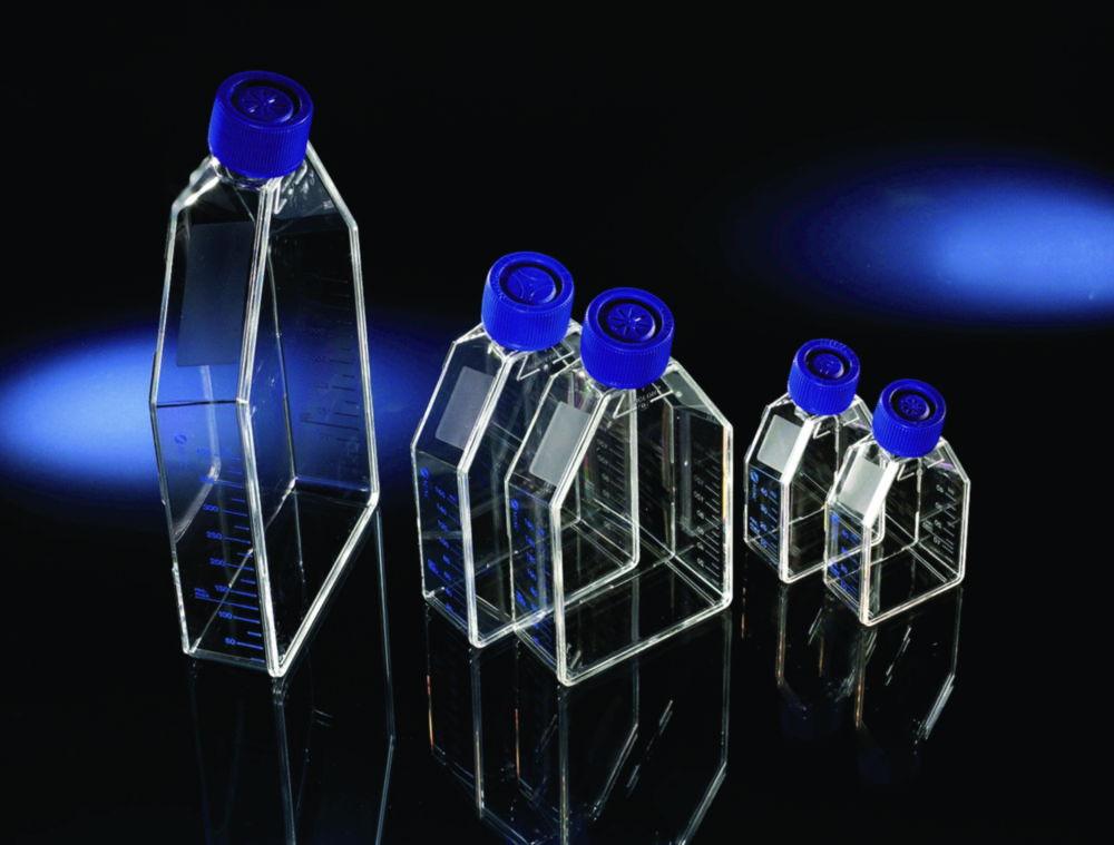 Thermo Nunc EasyFlask PS 55 mL 175 cm Nunclon Filter Caps Sterile (Pack of 30)