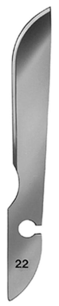 C. Bruno Bayha Scalpel Blades Type 22 Non-Sterile (Pack of 12)