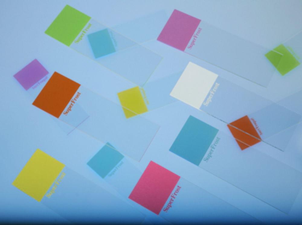 Epredia Superfrost-OT Microscope Slides 76x26 mm, Cut Edges, Green (Pack of 50)