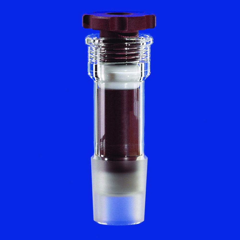 Lenz-Laborglas Stirr Closure with Double Lip Sealing, Cone NS 29/32, for Wave 16 mm, Closure Borosilicate Glass 3.3, Sealing PTFE
