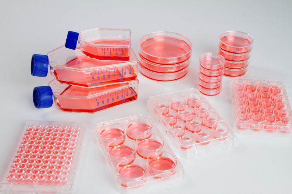 Thermo Nunc Nunclon Sphera Multidish 6-Well, Culture Area 9.6cm² with Lid, Sterile, Suggested Working Volume 1mL
