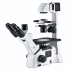 Inverted microscope AE31E Binocular lens tube, 45° viewing angle